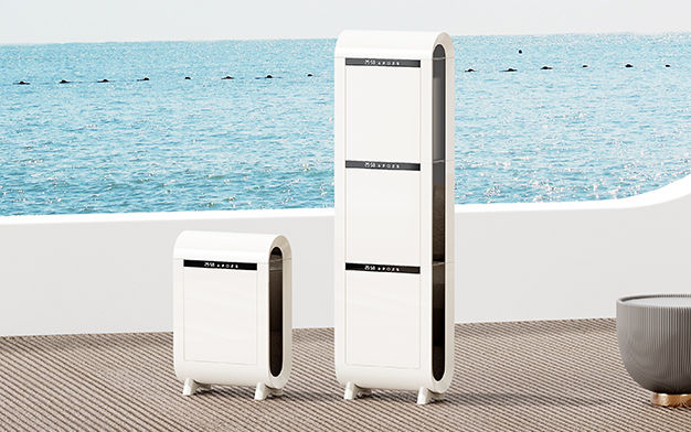 INTELLIGENT SHOE DRYING CABINET